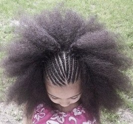 http://thirstyroots.com/kids-braided-hair-styles.html